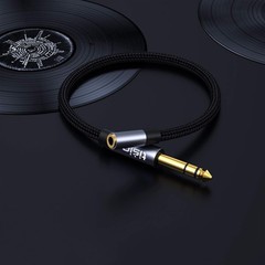1/4 to 3.5mm Headphone Adapter 1/4 Male to 1/8 Female Extension Audio 1ft