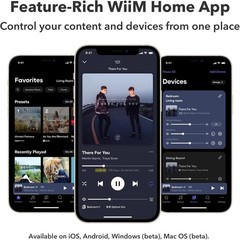 WiiM Ultra Music Streamer & Preamp – 3.5″ Touch, HDMI ARC, Phono, Silver