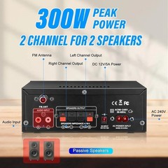 Compact 300W Wireless Bluetooth Audio Amplifier with USB & SD Card Inputs