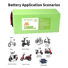 H HAILONG 36V 48V 52V 12Ah 20Ah 30Ah Li-ion Battery for 200-2000W motor