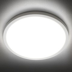SunRider LED Flush Mount Ceiling Light 1 Count (Pack of 1), Daylight White