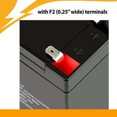 ExpertBattery 2 Packs of 12V 10Ah Battery for EZIP Scooter 4.0, 400, 450, 500