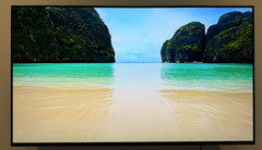 Sony XBR-55A8G BRAVIA 55″ 2160p (4K) UHD OLED Smart TV – Black *Few Dead Pixels