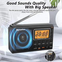 AM FM Portable Radio AC or Battery Operated Big Speaker Earphone Jack Home Elder