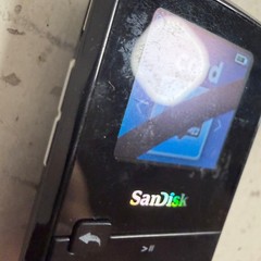 SanDisk Sansa Clip Zip Black 1.1″ LCD Display Built-in FM Radio MP3 Media Player