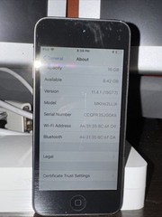 Apple iPod Touch/ 6th Gen/ 16gb Space Gray/ 100% Battery / iOS 11.4
