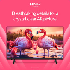 VIZIO V4K50M-08 50″ 4K UHD HDR Smart TV LED Television