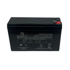 BB CPS5.5-12 Battery Replacement