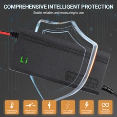 14.6V 10-Amp Smart Fast Charger For 12V Lithium Iron Phosphate (LiFePO4) Battery