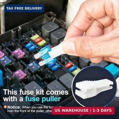 JOREST 300Pcs Car Fuse Assortment Kit, 160 Mini Blade Fuses Automotive + 90 Stan