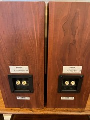 Fostex P1000-BH back-loaded horn speakers – Pair – Madisound