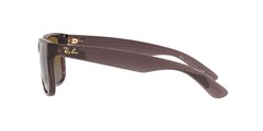Ray-Ban Unisex RB4165 54 mm, Transparent Dark Brown/Polarized Gradient Brown