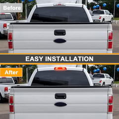 2009-14 F150 Raptor LED Third Brake Light–Compatible Replacement