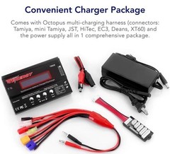 Tenergy TB6B Multifunctional Balance Charger