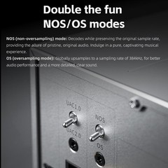 FiiO Warmer R2R Tube Buffer DAC Amp 24bit Ladder XLR RCA USB (US Version,Silver)