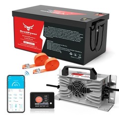 48V 100Ah LiFePO4 Lithium Battery For Golf Cart in 200A BMS, Max.Power 10.24kW