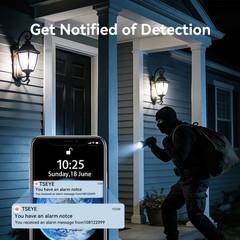 TMEZON 8MP 4K 10CH 12” Monitor Wireless WIFI Security Camera System Audio 1TB