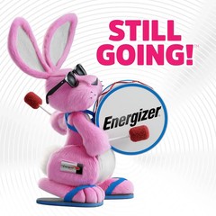 Energizer Alkaline Power AAA Batteries 32 Count (Pack of 1)Long-Lasting Triple A