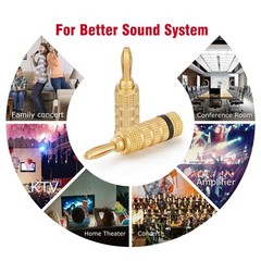 WGGE WG-3333 24k Gold Plated Speaker Banana 12 Pairs (24 PLUGS),