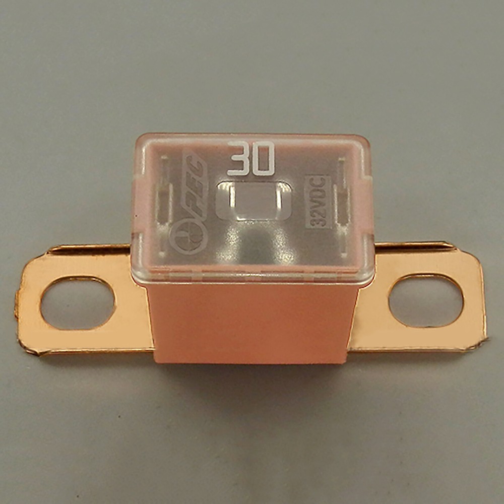 30A/40A/50A/60A/70A/80A/100A/120A Car Main Power Fuse Car Battery Fuse Generator