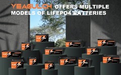 12V 100Ah LiFePO4 Lithium Battery BMS Deep Cycle For RVs Backup Power Off-grid