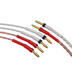 HIFI Silver-plated Bi-wire Speaker Cable High-end OCC Speaker Wire Y/Banana Plug