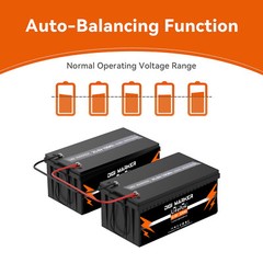 12V 45Ah 60Ah 220Ah 300Ah / 24V 100Ah Lithium iron LiFePO4 Battery BMS Solar RV