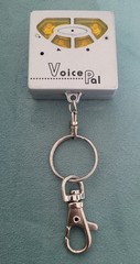 Voice Digital Audio Memo Recorder Key Chain Flashlight.