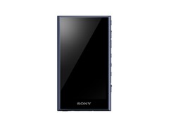 SONY Walkman NW-A306 NW-A307 A series memory type Black Blue Gray Music 2023