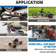 48V Ebike Battery Lithium LiFePO4 16Ah Batteries for Electric Bike Scooter Motor