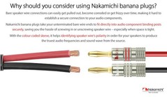 Nakamichi GenuineUltimate Series 24K Gold Plated Beryllium Red Copper Banana Plu