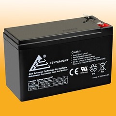 ExpB Replacement for 7Ah or 8Ah Leoch Peg Perego DJW12-8HD 12V-7AH/20HR Battery