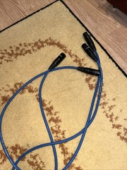Wireworld Oasis 8 Balanced XLR 1m INTERCONNECT CABLE Pair