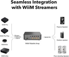 WiiM Vibelink Amp 100W Power Amplifier ESS DAC Compatible WiiM Mini/Pro
