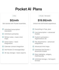 Pocket AI New in Box PKT01 Space Grey