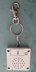 Voice Digital Audio Memo Recorder Key Chain Flashlight.