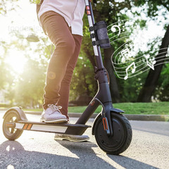 Bike Golf Cart Speaker Mount – Portable JBL Flip Charge Series Textured Black