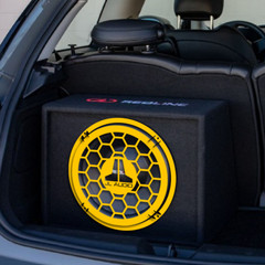 Custom Metal Raised Speaker Grill 1pc Wheel