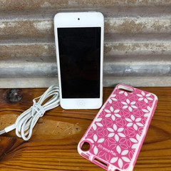 Apple iPod touch 5th Generation 32GB Silver Model A1421 w/ Cord PRISTINE!