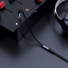 1/4 to 3.5mm Headphone Adapter 1/4 Male to 1/8 Female Extension Audio 1ft