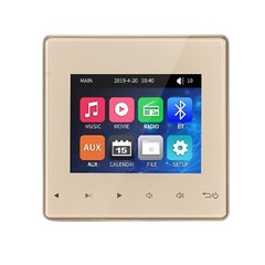 Mini Wall Amplifier Bluetooth Smart Sound System Theater Stereo Ceiling Speaker