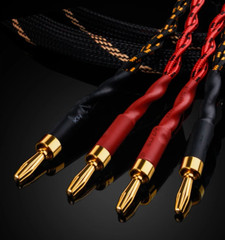 HI-END Pair Speaker Cable Bi-Wire 12 AWG HiFi Loudspeaker Single Wire