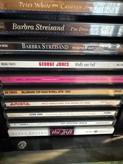 Hand Painted Hunt Scene CD Cabinet + 32 CDs (Mariah Carey, Santana,George Jones
