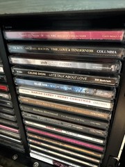 Hand Painted Hunt Scene CD Cabinet + 32 CDs (Mariah Carey, Santana,George Jones