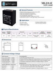 Mighty Max 12V 2.9AH F1 SLA Battery Compatible With Consent GS12V2.8AH