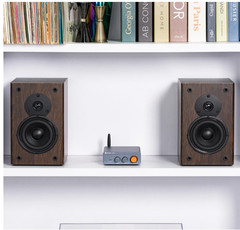 Amplificador Bluetooth 5.0 de 2 canales 300W x2 con control de bajos y agudos. N