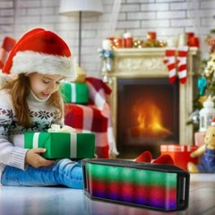 Wireless Rechargeable Speaker 108dB Party Travel Hiking Hands-free FM Christmas