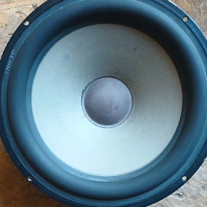 Vifa 10 in Woofer Speaker Driver M25WO-09-08 8 Ohm Universal Compatible