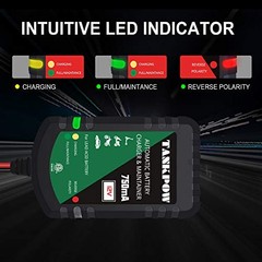 12V 0.75A Smart Battery Charger,Automatic Battery Charger&Battery dark green