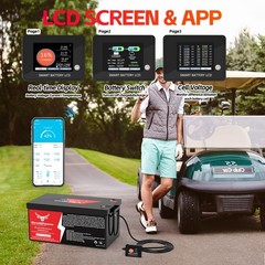 48V 100Ah LiFePO4 Lithium Battery For Golf Cart in 200A BMS, Max.Power 10.24kW